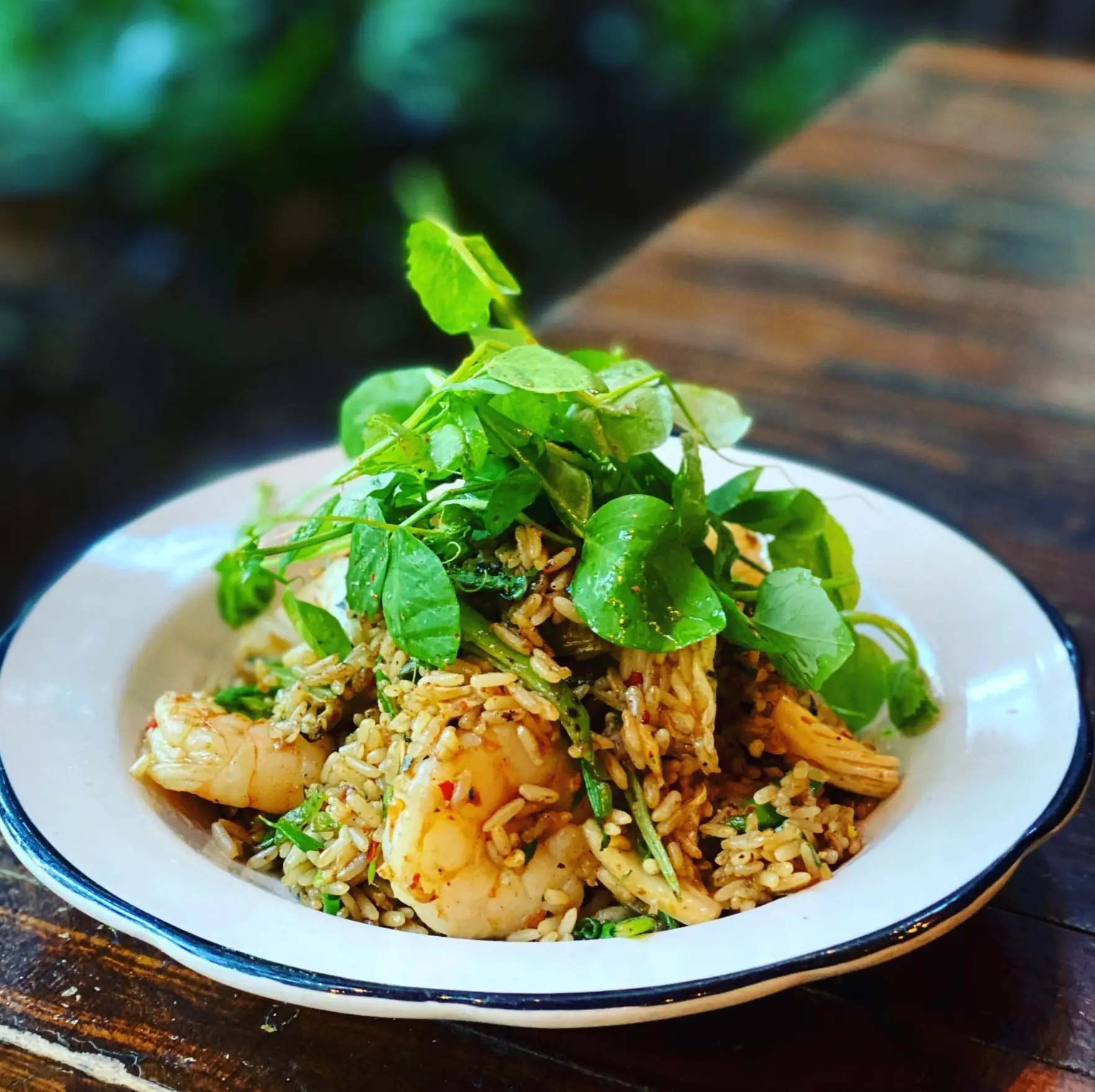 Shrimp fried rice topped with fresh pea shoots.