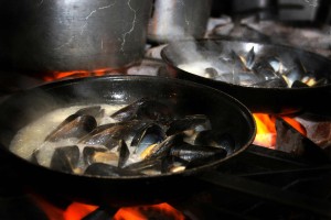 mussles-flame-effect-web-opt
